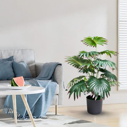 Garden Gyani Artificial Licuala Palm Plant with Pot – 2.5 Feet Tall Faux Ruffled Fan Palm for Home & Office Décor | Realistic Tropical Indoor Plant