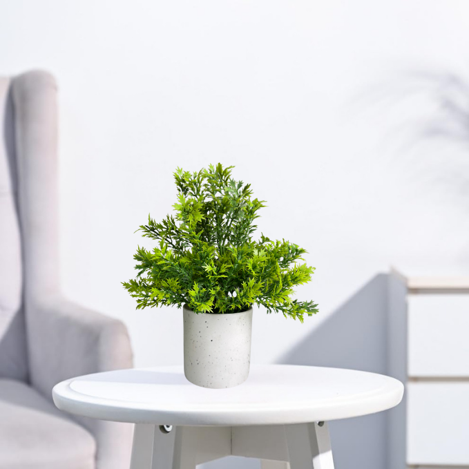 Garden Gyani Artificial Rubber Plant – Small Faux Potted Plant for Tabletop, Home, Bathroom & Office Décor | Indoor Decorative Greenery