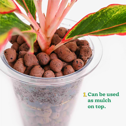 Garden Gyani LECA Balls 1.8kg / 7L – Clay Balls for Plants, Hydroponics & Soilless Gardening (Size: 8-15mm)