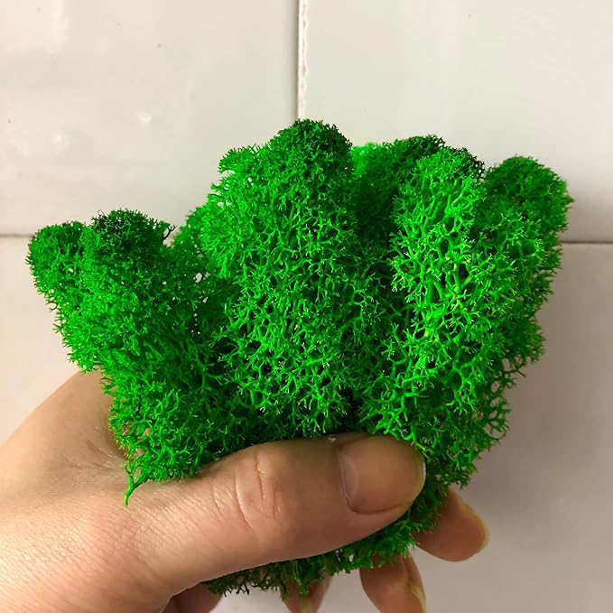 Decorative Artificial Moss / Preserved Green Moss 1kg – Natural Look Craft & Decor Filler