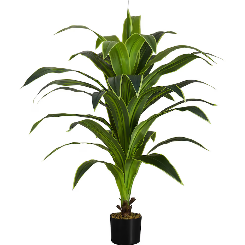 Garden Gyani Artificial Dracaena Plant 120cm with Pot – Decorative Indoor Floor Plant