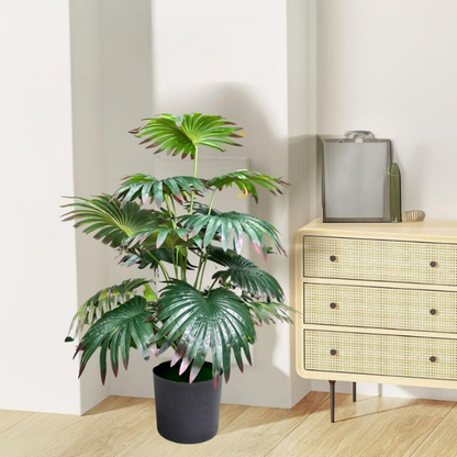 Garden Gyani Artificial Licuala Palm Plant with Pot – 2.5 Feet Tall Faux Ruffled Fan Palm for Home & Office Décor | Realistic Tropical Indoor Plant