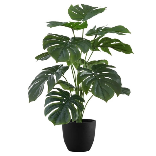 Garden Gyani Artificial Money Plant – 55 cm Tall Faux Monstera Palm Leaves | Without Pot | Lifelike Green Decorative Plant for Home & Office Interiors