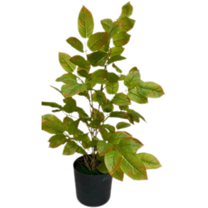Garden Gyani Redmachira Leaves Mix – 60 cm Tall Artificial Plant | Lifelike Faux Indoor & Outdoor Décor Without Pot