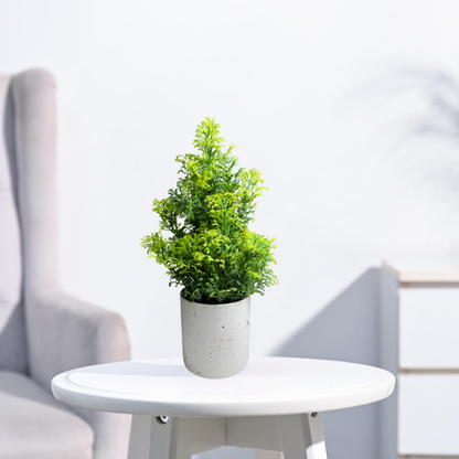Garden Gyani Artificial Rubber Plant – Small Faux Potted Plant for Tabletop, Home, Bathroom & Office Décor | Indoor Decorative Greenery