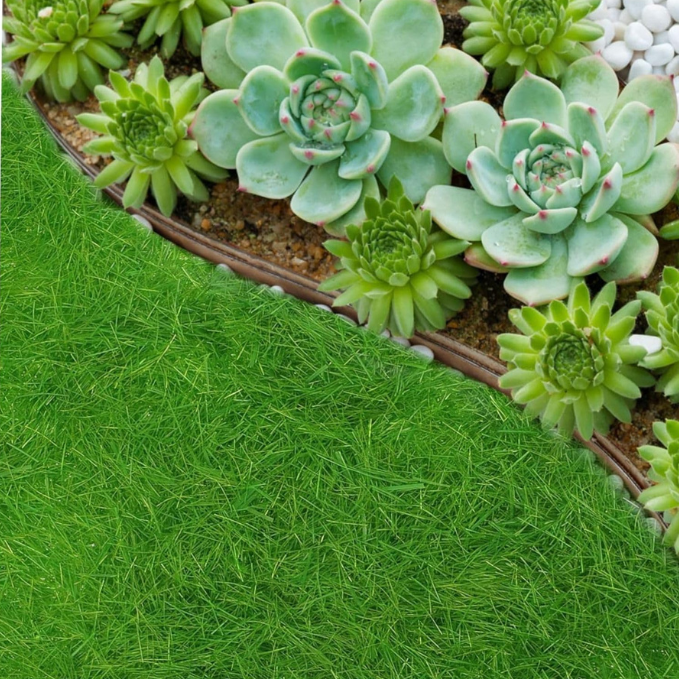 Garden Gyani 100g to 1Kg Artificial Grass Moss Powder – Fake Green Moss for DIY Fairy Garden, Miniatures, Terrariums, Craft & Home Décorkg