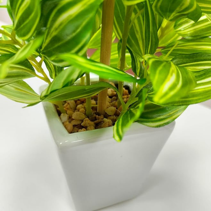 Garden Gyani Mini Artificial Hypoestes Plant with Ceramic Vase – 19 cm Tall Faux Green Indoor Plant for Home & Office Décor | 72 Leaves | Realistic & Maintenance-Free