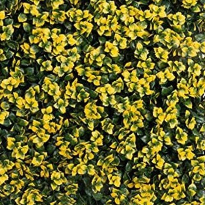 Garden Gyani 50x50 cm Artificial Greenery Wall Panel – Lush Faux Vertical Garden Mat for Wall, Balcony & Home Décor