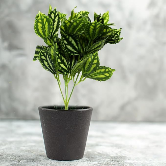 Garden Gyani Artificial Tabletop Plants – Compact Faux Greenery for Home & Office | No Pot Included