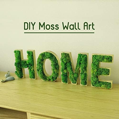 Garden Gyani Prefleur Preserved Reindeer Craft Moss | Natural Green DIY Kit for Gardening, Arts & Crafts, Florist Projects, Wedding Backdrop & Home Decoration