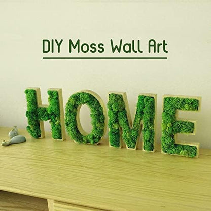 Garden Gyani Prefleur Preserved Reindeer Craft Moss | Natural Green DIY Kit for Gardening, Arts & Crafts, Florist Projects, Wedding Backdrop & Home Decoration