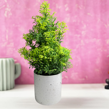 Garden Gyani Artificial Rubber Plant – Small Faux Potted Plant for Tabletop, Home, Bathroom & Office Décor | Indoor Decorative Greenery