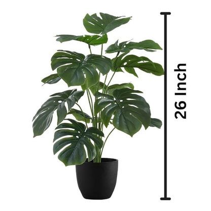 Garden Gyani Artificial Money Plant – 55 cm Tall Without Pot | Faux Green Monstera with Palm Leaves | Silk-Like Tropical Decorative Plant for Home & Office