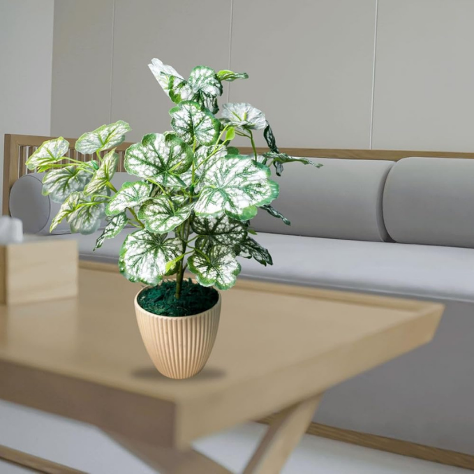 Artificial Money Plant Tree – Natural-Looking Faux Greenery for Home, Office, Garden & Event Decoration | Easy to Clean & Washable