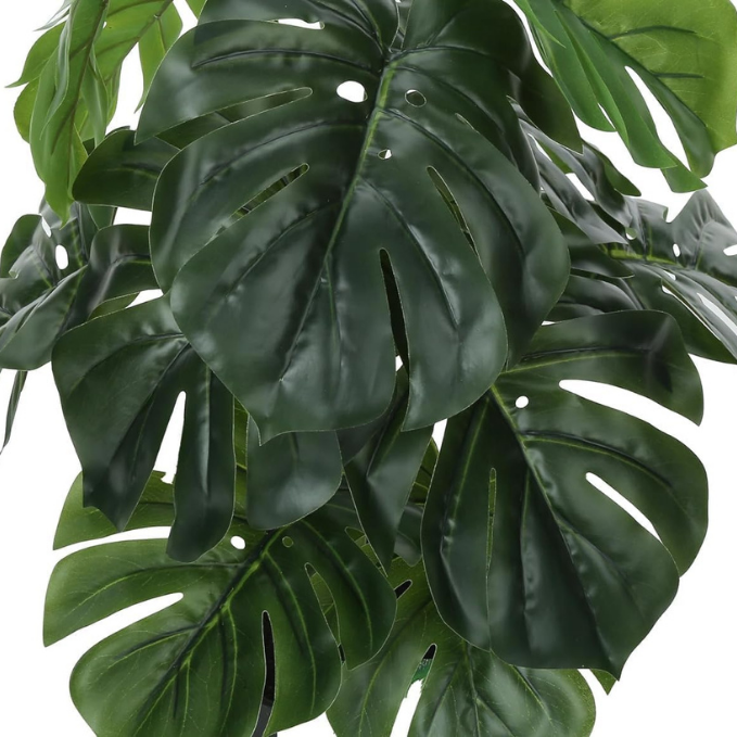Garden Gyani Artificial Money Plant – 55 cm Tall Without Pot | Faux Green Monstera with Palm Leaves | Silk-Like Tropical Decorative Plant for Home & Office