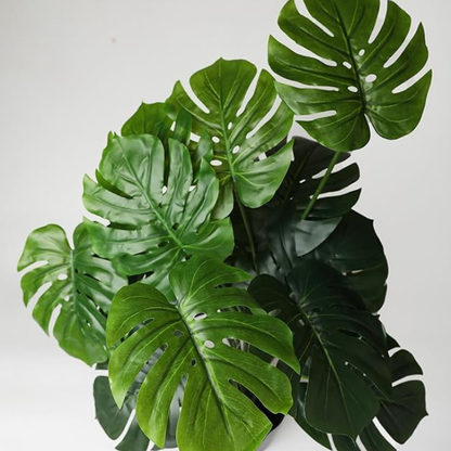 Garden Gyani Artificial Money Plant – 55 cm Tall Without Pot | Faux Green Monstera with Palm Leaves | Silk-Like Tropical Decorative Plant for Home & Office