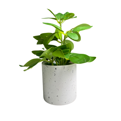 Garden Gyani Artificial Rubber Plant – Small Faux Potted Plant for Tabletop, Home, Bathroom & Office Décor | Indoor Decorative Greenery