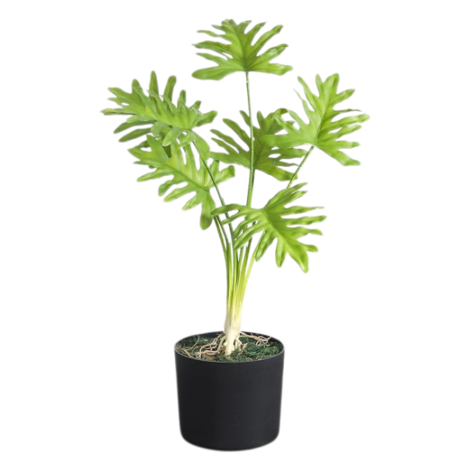Garden Gyani 60CM Artificial Xanadu Plant (Without Pot) – Realistic Tropical Philodendron for Home, Office & Indoor Decoration