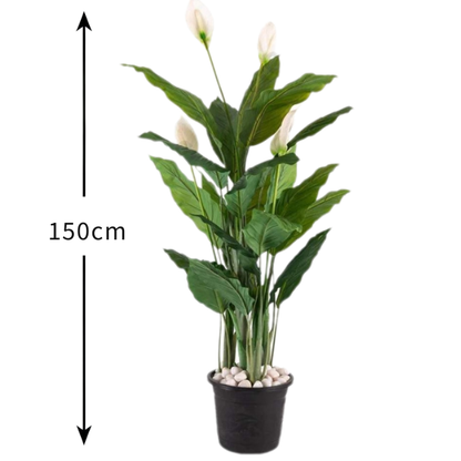 Garden Gyani 150CM Real Touch Spathiphyllum Plant (X3, Without Pot) – Lifelike Peace Lily for Home, Office & Indoor Décor