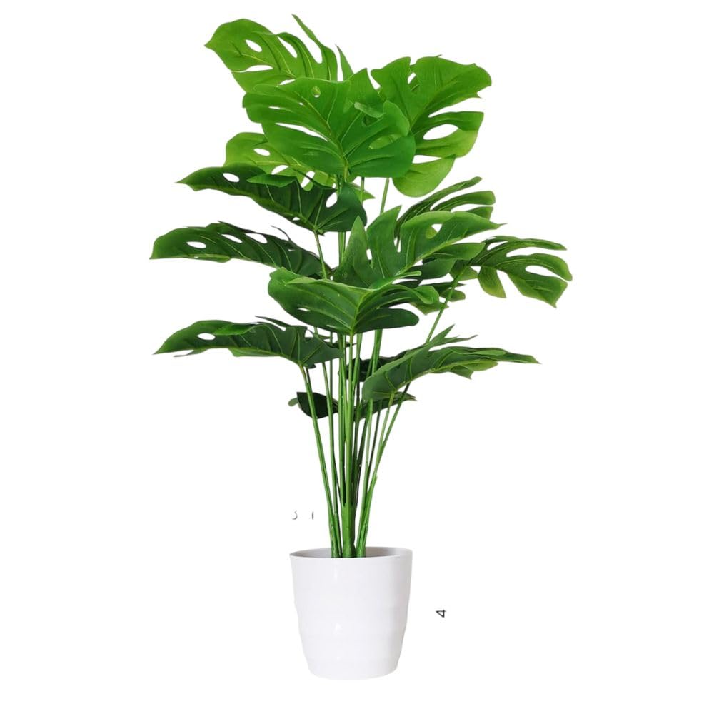 Garden Gyani Artificial Monstera Plant – 55 cm Tall with White Pot