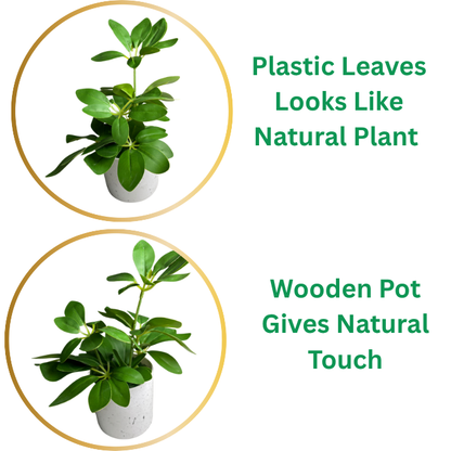 Garden Gyani Artificial Rubber Plant – Small Faux Potted Plant for Tabletop, Home, Bathroom & Office Décor | Indoor Decorative Greenery