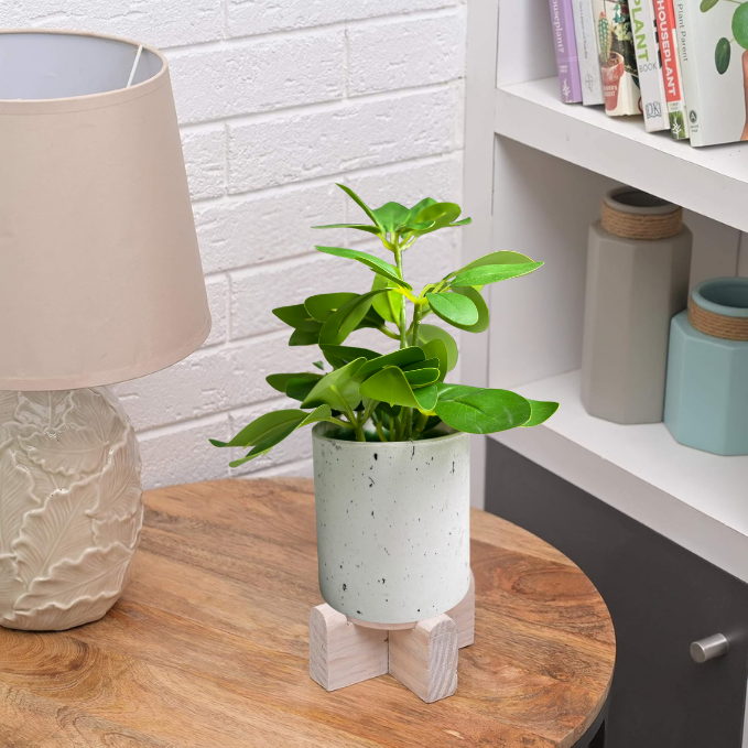 Garden Gyani Artificial Rubber Plant – Small Faux Potted Plant for Tabletop, Home, Bathroom & Office Décor | Indoor Decorative Greenery