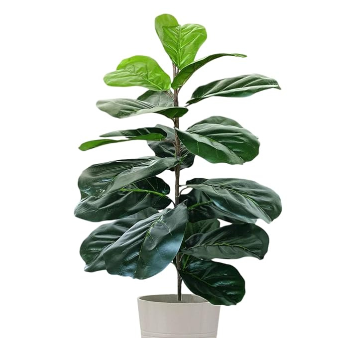 Garden Gyani Artificial Fiddle Leaf Fig Twig – 28 Inch Tall Faux Ficus Lyrata Plant with 21 Leaves | 1 Branch Greenery for Indoor & Outdoor Home, Office & Yard Décor Pot Not Included
