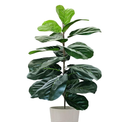 Garden Gyani Artificial Fiddle Leaf Fig Twig – 28 Inch Tall Faux Ficus Lyrata Plant with 21 Leaves | 1 Branch Greenery for Indoor & Outdoor Home, Office & Yard Décor Pot Not Included
