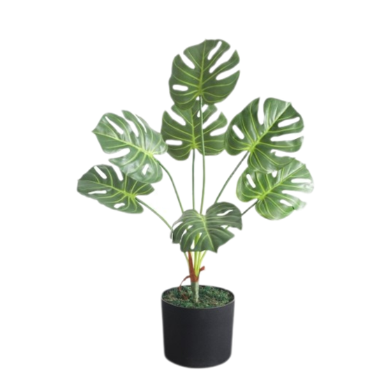 Garden Gyani Monstera X7 – 60 cm Tall Artificial Plant | Lifelike Faux Indoor & Outdoor Décor Without Pot