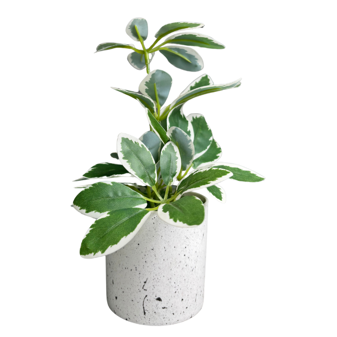 Garden Gyani Artificial Rubber Plant – Small Faux Potted Plant for Tabletop, Home, Bathroom & Office Décor | Indoor Decorative Greenery