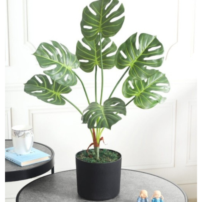 Garden Gyani Monstera X7 – 60 cm Tall Artificial Plant | Lifelike Faux Indoor & Outdoor Décor Without Pot