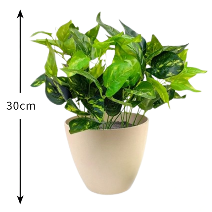 Garden Gyani Money Plant PVC Shrubs – 30 cm Tall Artificial Plant | Lifelike Faux Greenery for Home, Office & Décor