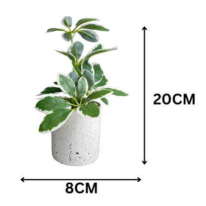 Garden Gyani Artificial Rubber Plant – Small Faux Potted Plant for Tabletop, Home, Bathroom & Office Décor | Indoor Decorative Greenery