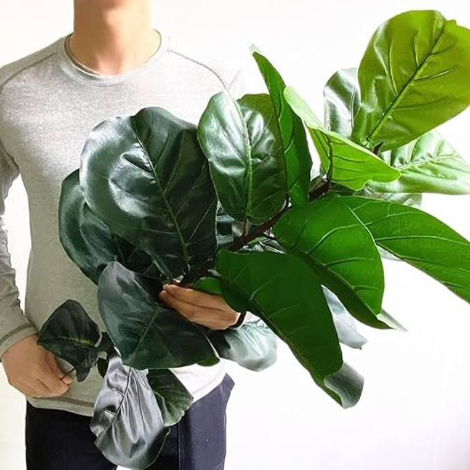 Garden Gyani Artificial Fiddle Leaf Fig Twig – 28 Inch Tall Faux Ficus Lyrata Plant with 21 Leaves | 1 Branch Greenery for Indoor & Outdoor Home, Office & Yard Décor Pot Not Included