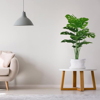 Garden Gyani Artificial Money Plant – 55 cm Tall Faux Monstera with White Pot | Lifelike Green Ornamental Plant for Home, Office & Interior Décor
