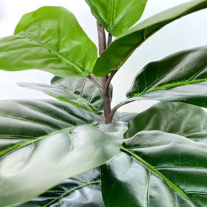 Garden Gyani Artificial Fiddle Leaf Fig Twig – 28 Inch Tall Faux Ficus Lyrata Plant with 21 Leaves | 1 Branch Greenery for Indoor & Outdoor Home, Office & Yard Décor Pot Not Included