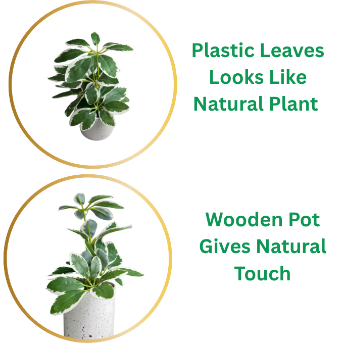 Garden Gyani Artificial Rubber Plant – Small Faux Potted Plant for Tabletop, Home, Bathroom & Office Décor | Indoor Decorative Greenery