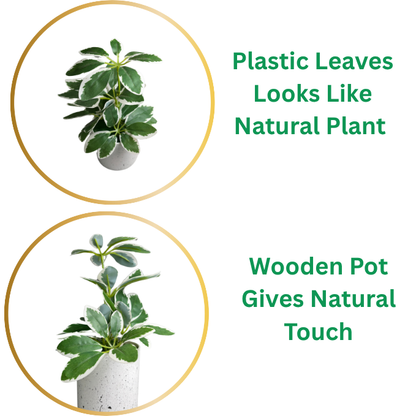 Garden Gyani Artificial Rubber Plant – Small Faux Potted Plant for Tabletop, Home, Bathroom & Office Décor | Indoor Decorative Greenery