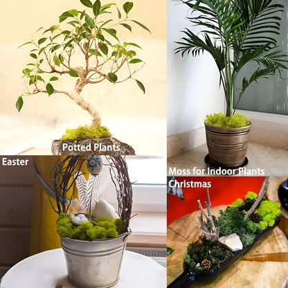 Decorative Artificial Moss / Preserved Green Moss 1kg – Natural Look Craft & Decor Filler