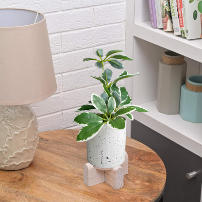 Garden Gyani Artificial Rubber Plant – Small Faux Potted Plant for Tabletop, Home, Bathroom & Office Décor | Indoor Decorative Greenery