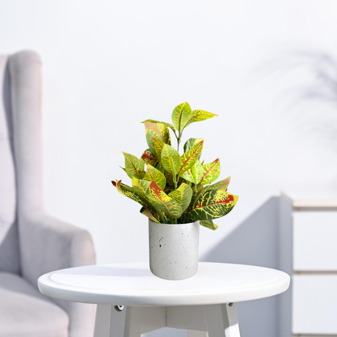 Garden Gyani Artificial Rubber Plant – Small Faux Potted Plant for Tabletop, Home, Bathroom & Office Décor | Indoor Decorative Greenery