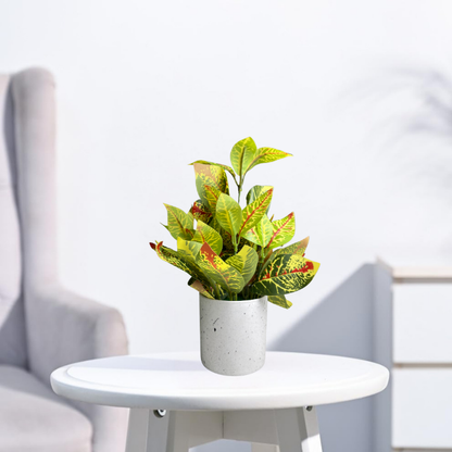 Garden Gyani Artificial Rubber Plant – Small Faux Potted Plant for Tabletop, Home, Bathroom & Office Décor | Indoor Decorative Greenery