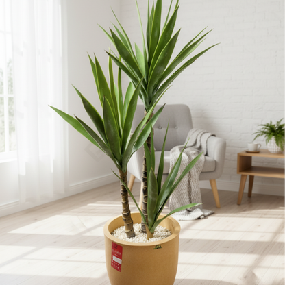 Garden Gyani Yucca X3 – 110 cm Tall Artificial Plant | Lifelike Faux Indoor & Outdoor Décor Without Pot