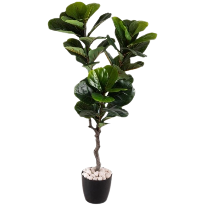 Garden Gyani Fiddle Leaf – 120 cm Tall Artificial Plant | Lifelike Faux Indoor & Outdoor Décor Without Pot