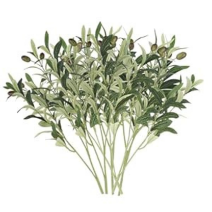 Garden Gyani Faux Olive Branches with Fruits & Leaves – Decorative Artificial Stems for Vases & Home Styling (Pack of 3 Sticks | Vase Not Included)
