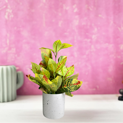 Garden Gyani Artificial Rubber Plant – Small Faux Potted Plant for Tabletop, Home, Bathroom & Office Décor | Indoor Decorative Greenery