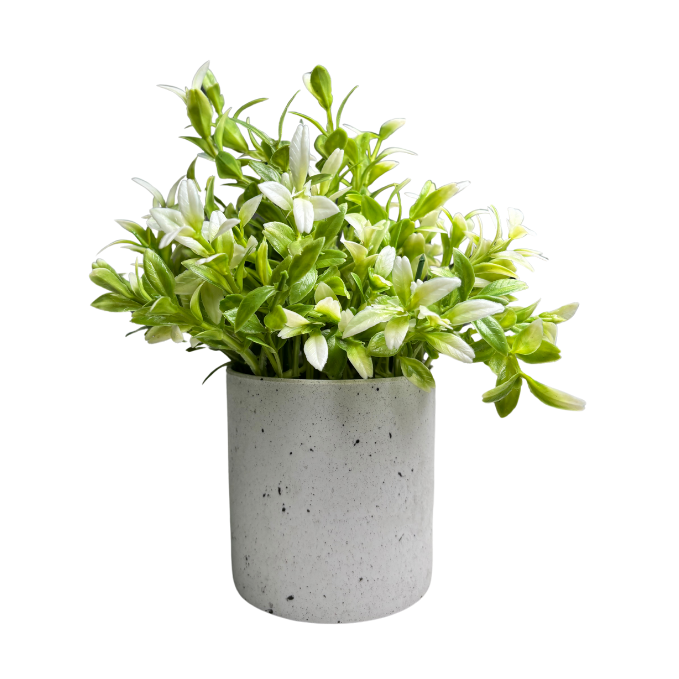 Garden Gyani Artificial Rubber Plant – Small Faux Potted Plant for Tabletop, Home, Bathroom & Office Décor | Indoor Decorative Greenery