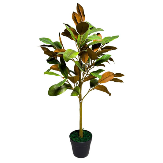 Garden Gyani Decorative Artificial Magnolia Tree – 90 cm Tall Faux Green Plant Without Pot | Realistic Indoor & Outdoor Decorative Plant for Home, Office & Garden