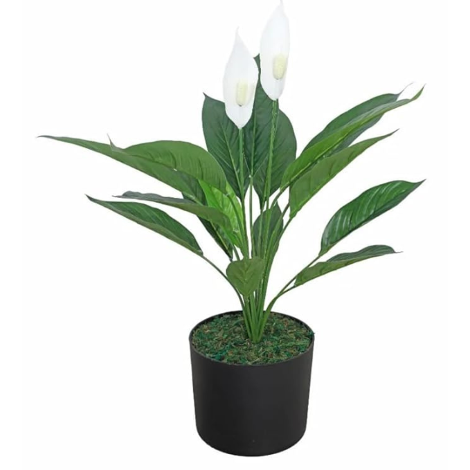 Garden Gyani Artificial Spathe Plant – Realistic Indoor Faux Greenery with Pot for Home & Office Décor