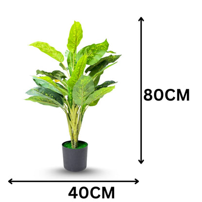 Garden Gyani Artificial Dieffenbachia Plant with Pot – 80cm Tall Faux Indoor Plant with Broad Green & Cream Leaves | 4 Stems | Realistic Decorative Plant for Home & Office